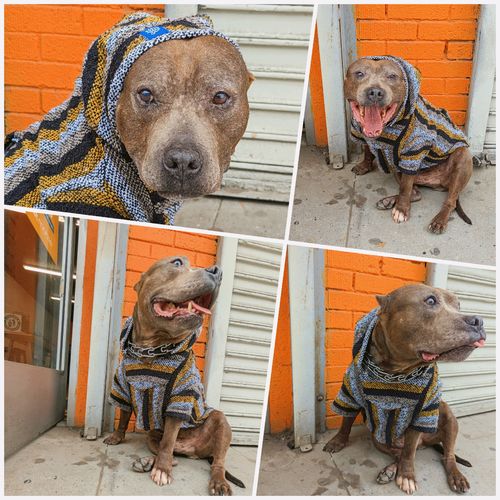 Customer photo review of Playa Poncho - Surprise Color