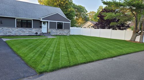 Customer photo review of Protene Performance Summer Fertilizer