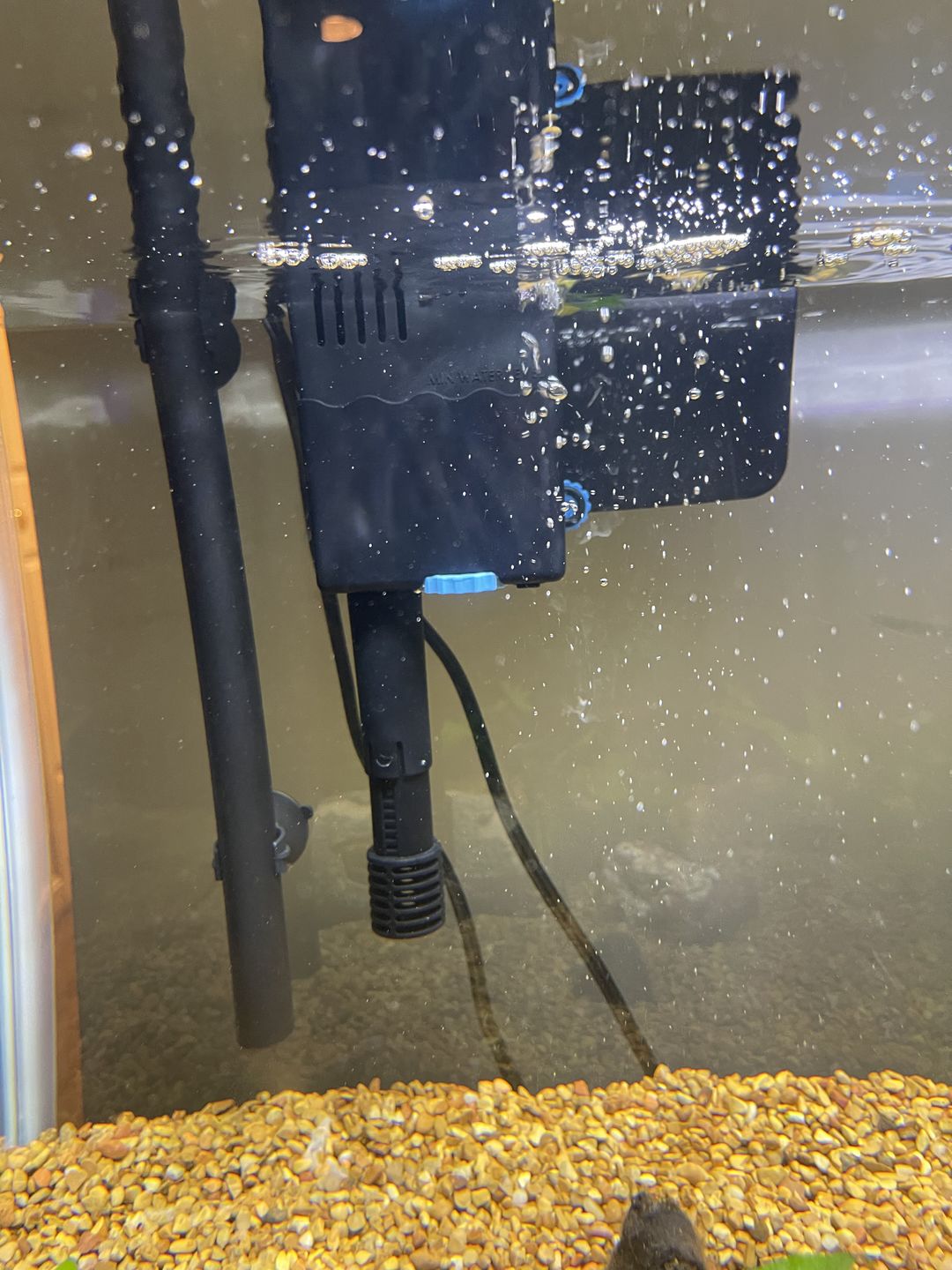 Customer photo review of Tidal Power Filters From Seachem/Sicce