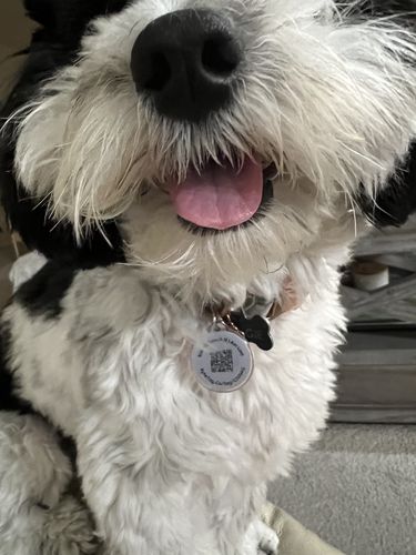 Customer photo review of Pink