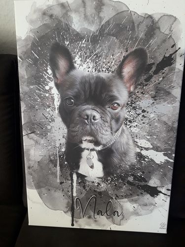 Customer photo review of Graffiti Pawtrait