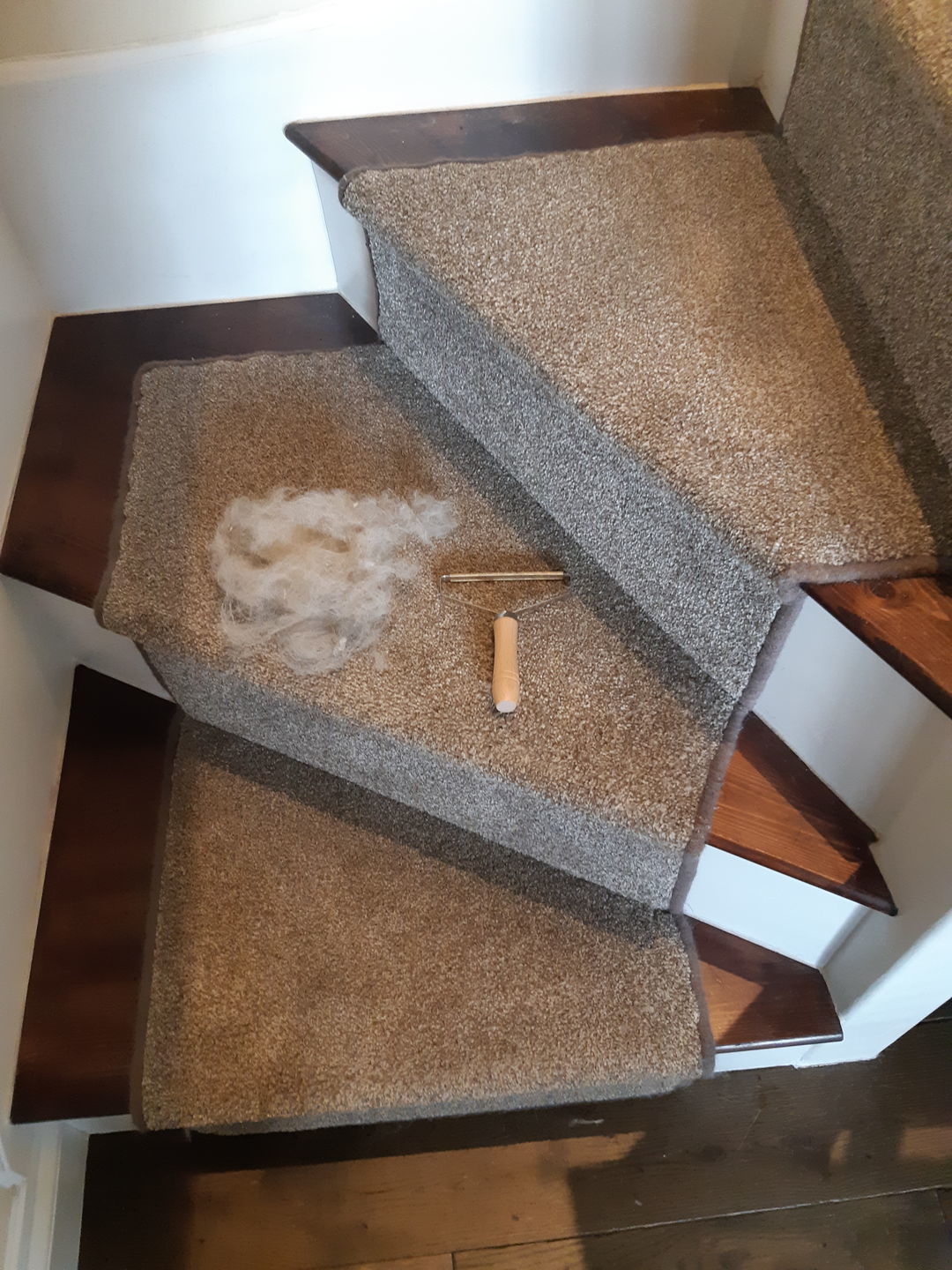 Customer photo review of Magic Lint Remover