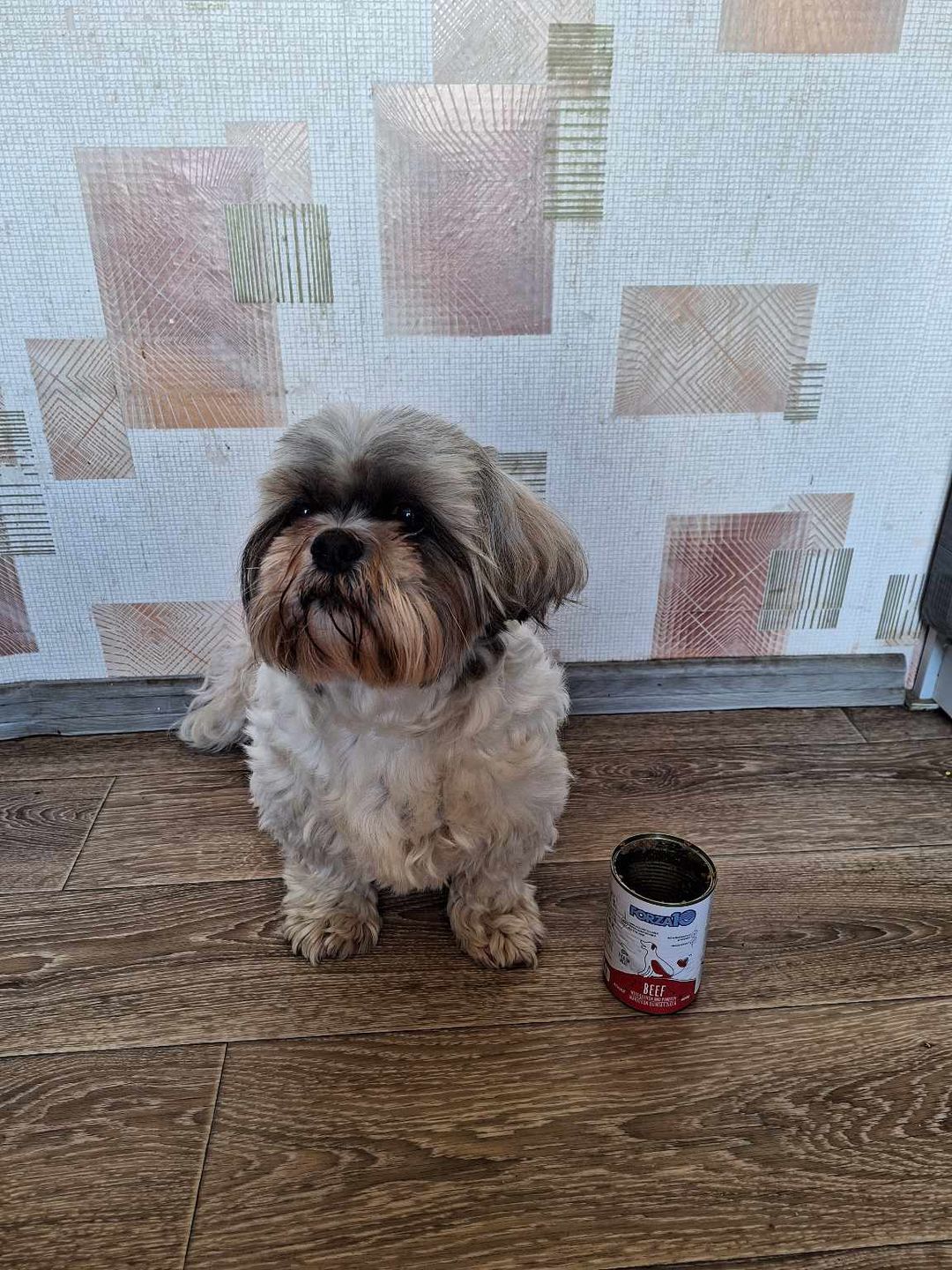 Customer photo review of Konservi suņiem ar LIELLOPU gaļu, kvinoju un ķirbi