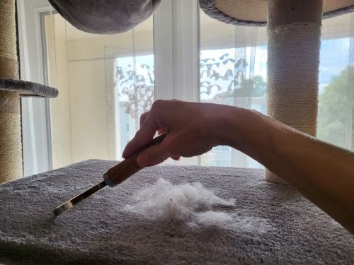 Customer photo review of Magic Lint Remover