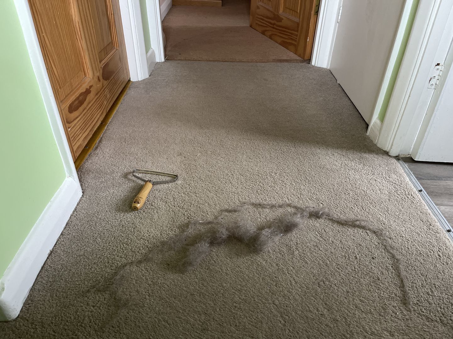 Customer photo review of Magic Lint Remover