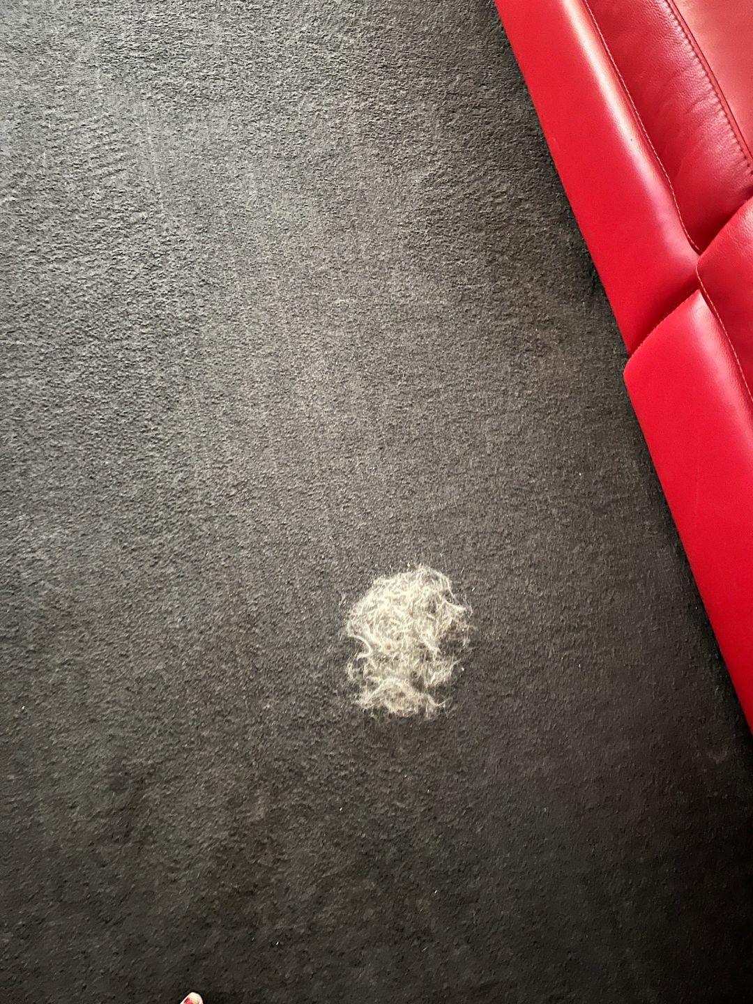 Customer photo review of Magic Lint Remover