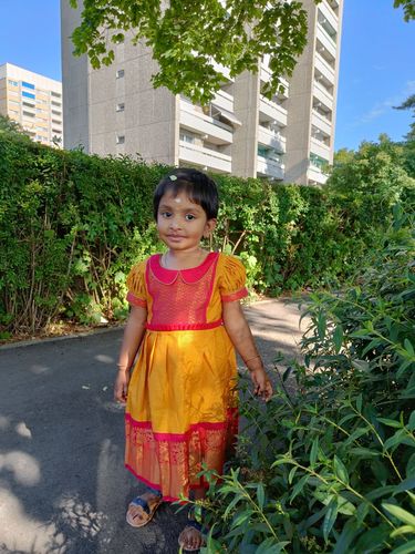 The Nesavu customer review from Nivetha V.
