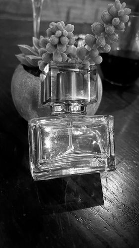 Customer photo review of Perfumer's Alcohol