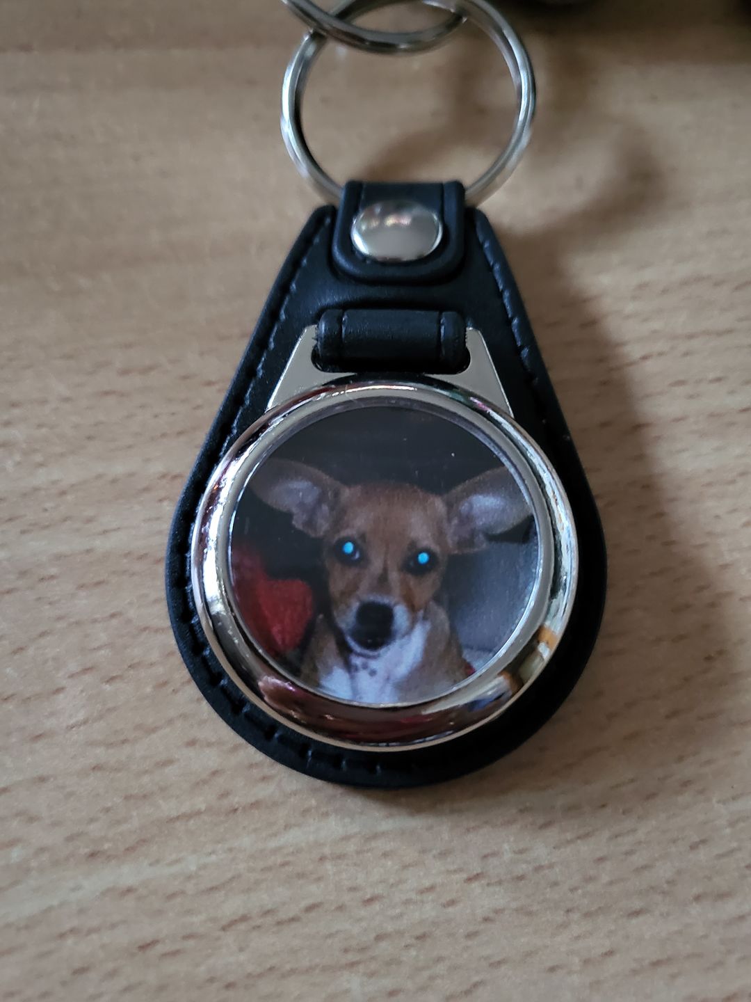 Customer photo review of Schlüsselanhänger-Bundle Leder 3x dein Foto für nur 19,90 €