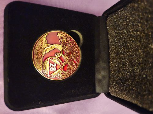 Customer photo review of 1 to 50 Year Sobriety Mint Twisted Tree of Life Gold Plated AA Recovery Medallion/Chip/Coin - Red