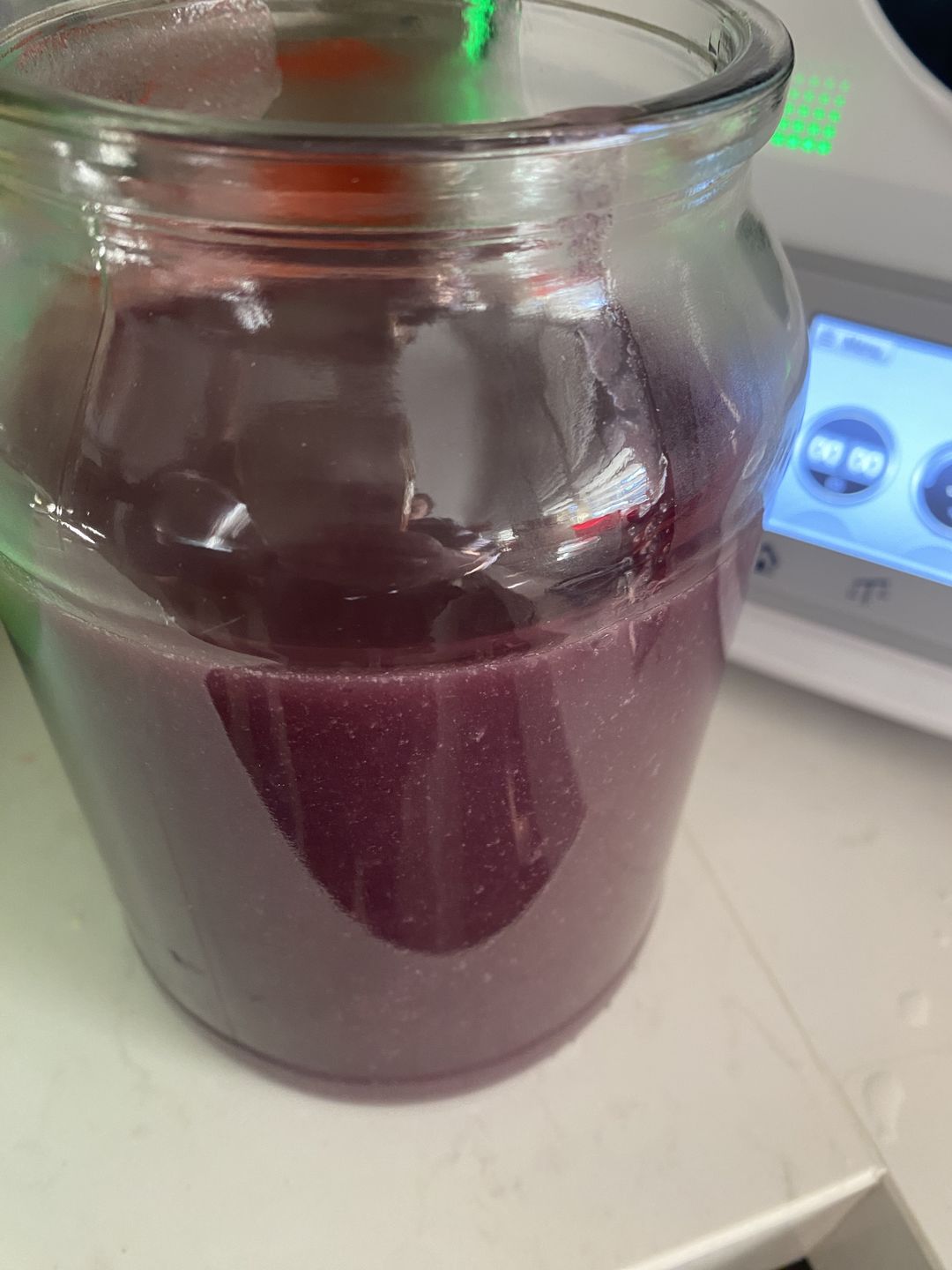 Customer photo review of Jamaican Purple Sea Moss (Raw, Wildcrafted)