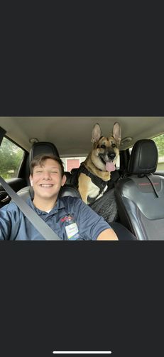 Customer photo review of Classic Heavy-Duty Tactical No-Pull Team K9™ Dog Harness With Front & Back D-Rings, Quick-Release Metal-Buckles, Hook & Loop Panels, & Top Handle