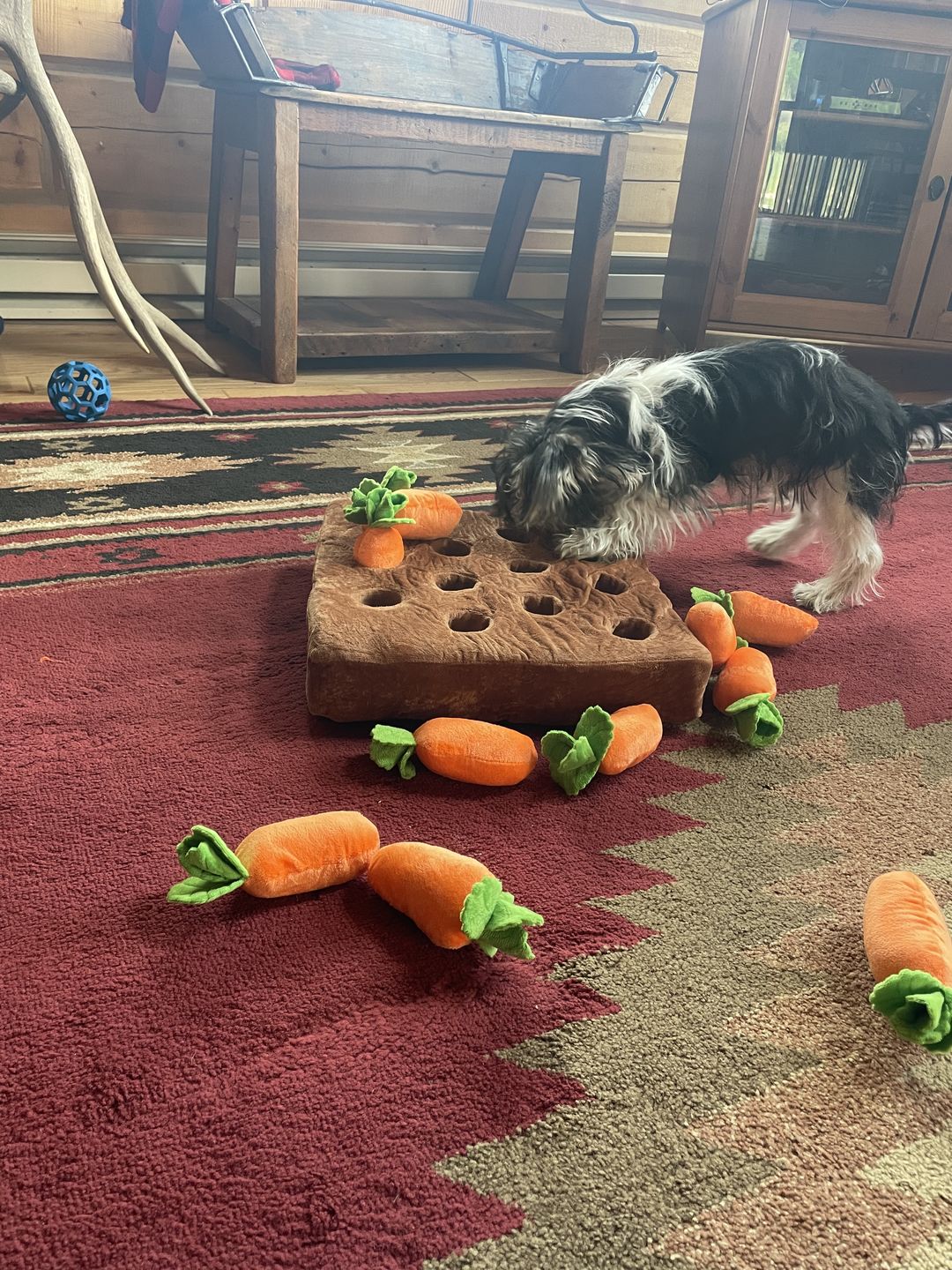 Customer photo review of Carrot Farm