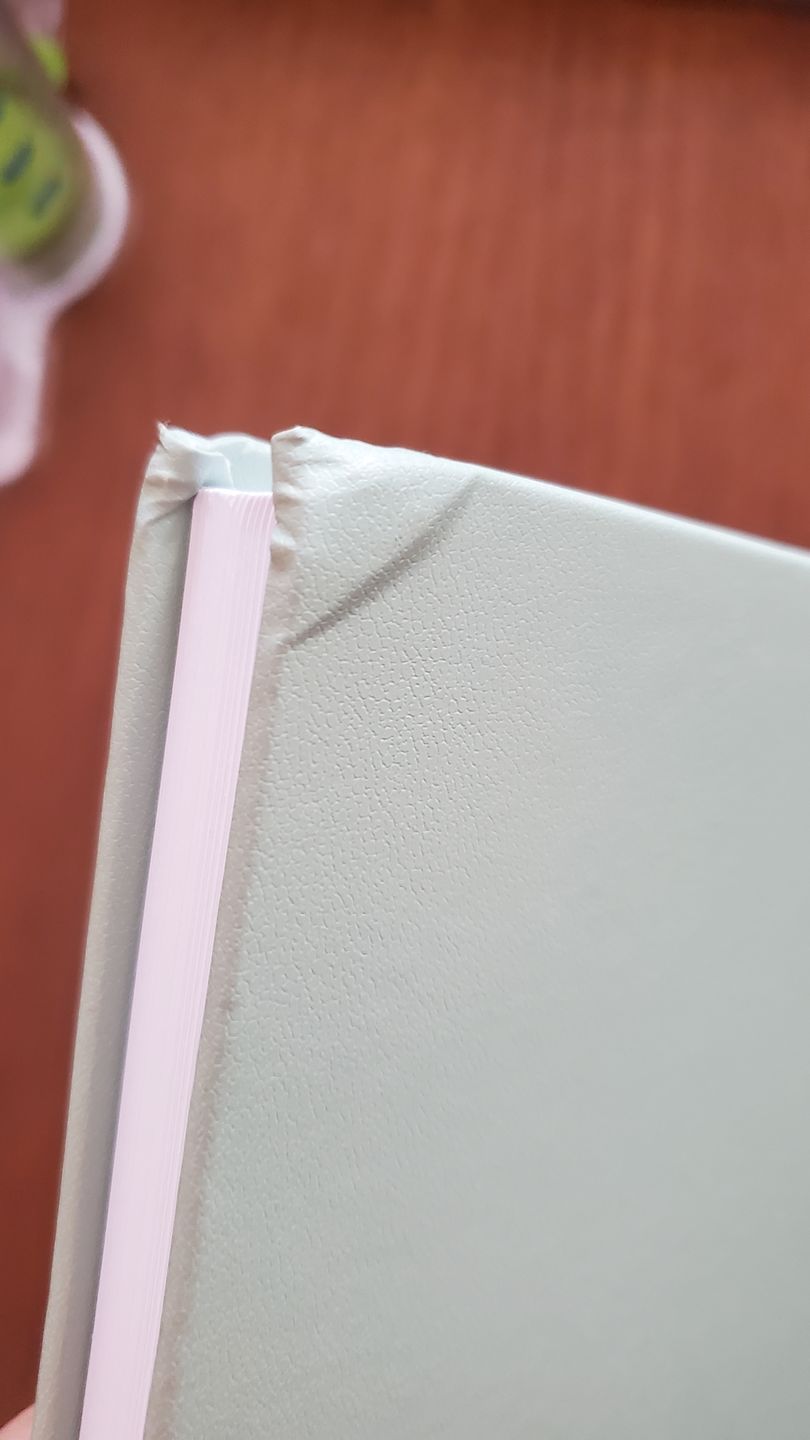 Customer photo review of Childhood History Journal - Aloe Green Leatherette