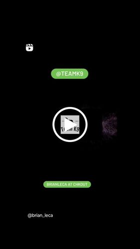 Customer video review of Adjustable Dog Goggles (Doggles)