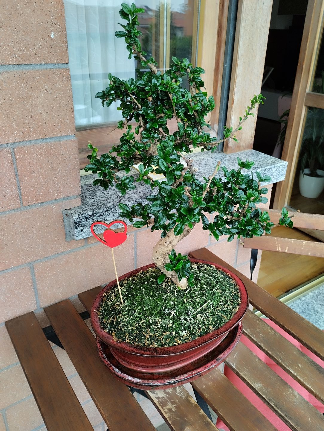 Customer photo review of TOTAL FORCE CB® (AFIDI, COCCINIGLIA, RAGNETTO ROSSO, MAL BIANCO)
