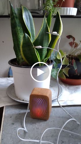 Customer video review of PlantWave