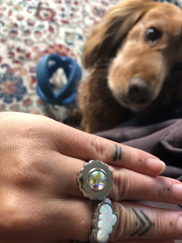 Customer photo review of Cookie Monster