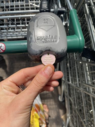 Customer photo review of Freebie Best Pound of Your Life - Trolley Coin