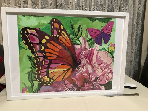 Customer photo review of Butterflies Sitting on Flower