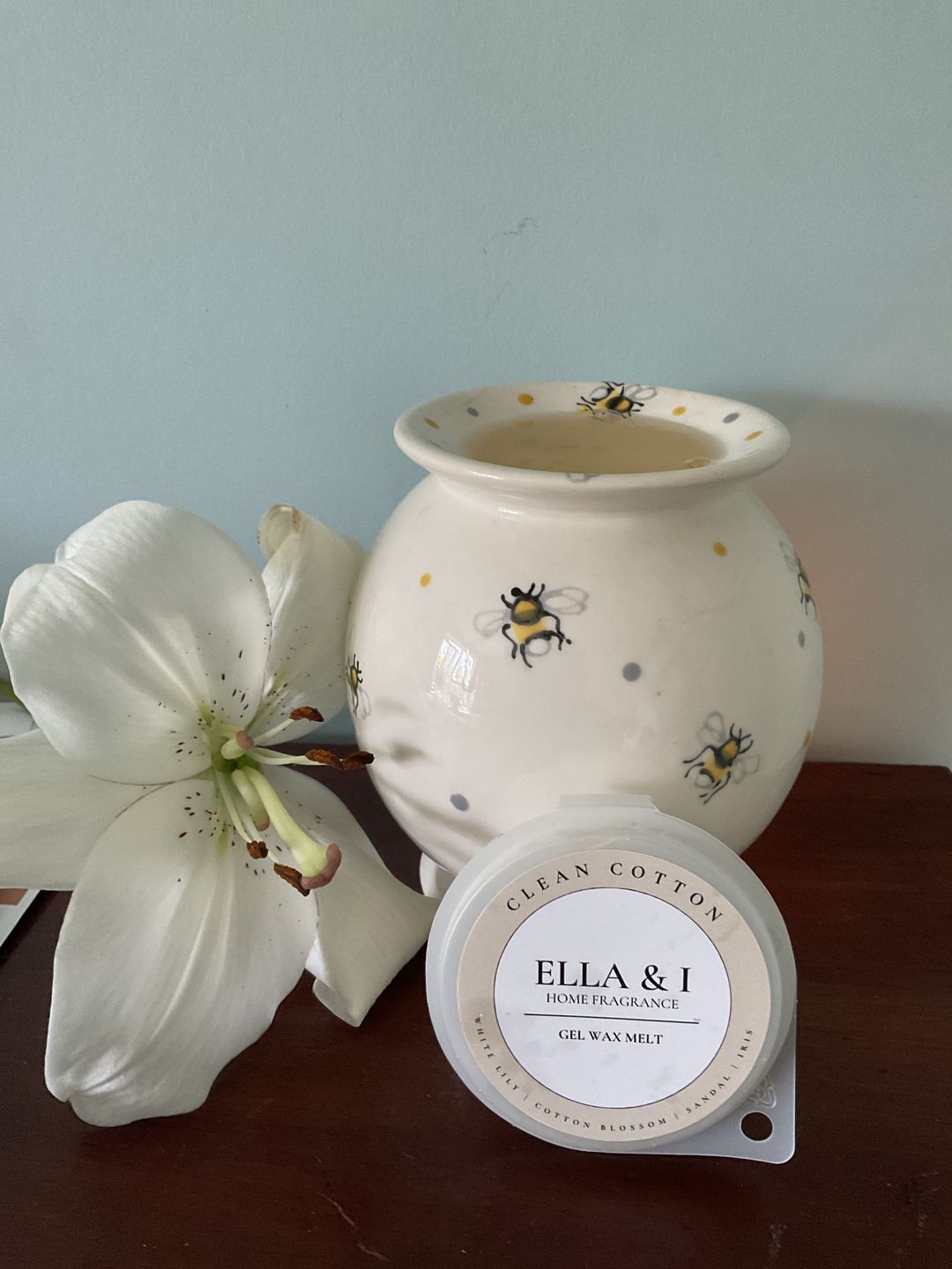 Customer photo review of Clean & Fresh Starter Set