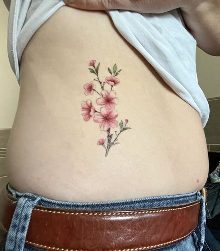 Customer photo review of Cerisier au printemps