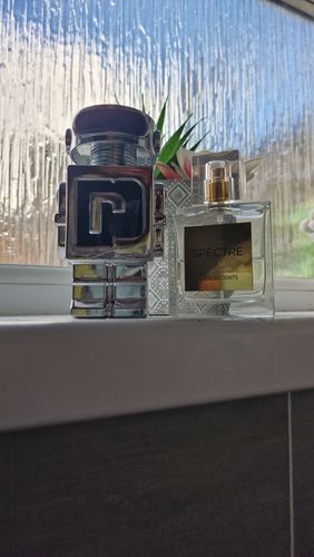 Customer photo review of Alien (Inspired) - Abduction