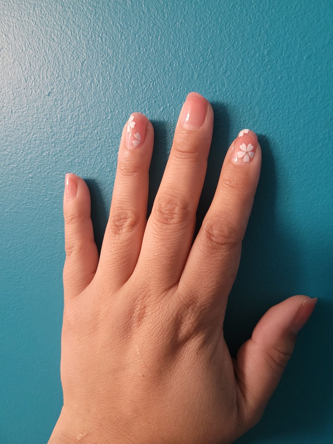 Customer photo review of Cherry Blossom