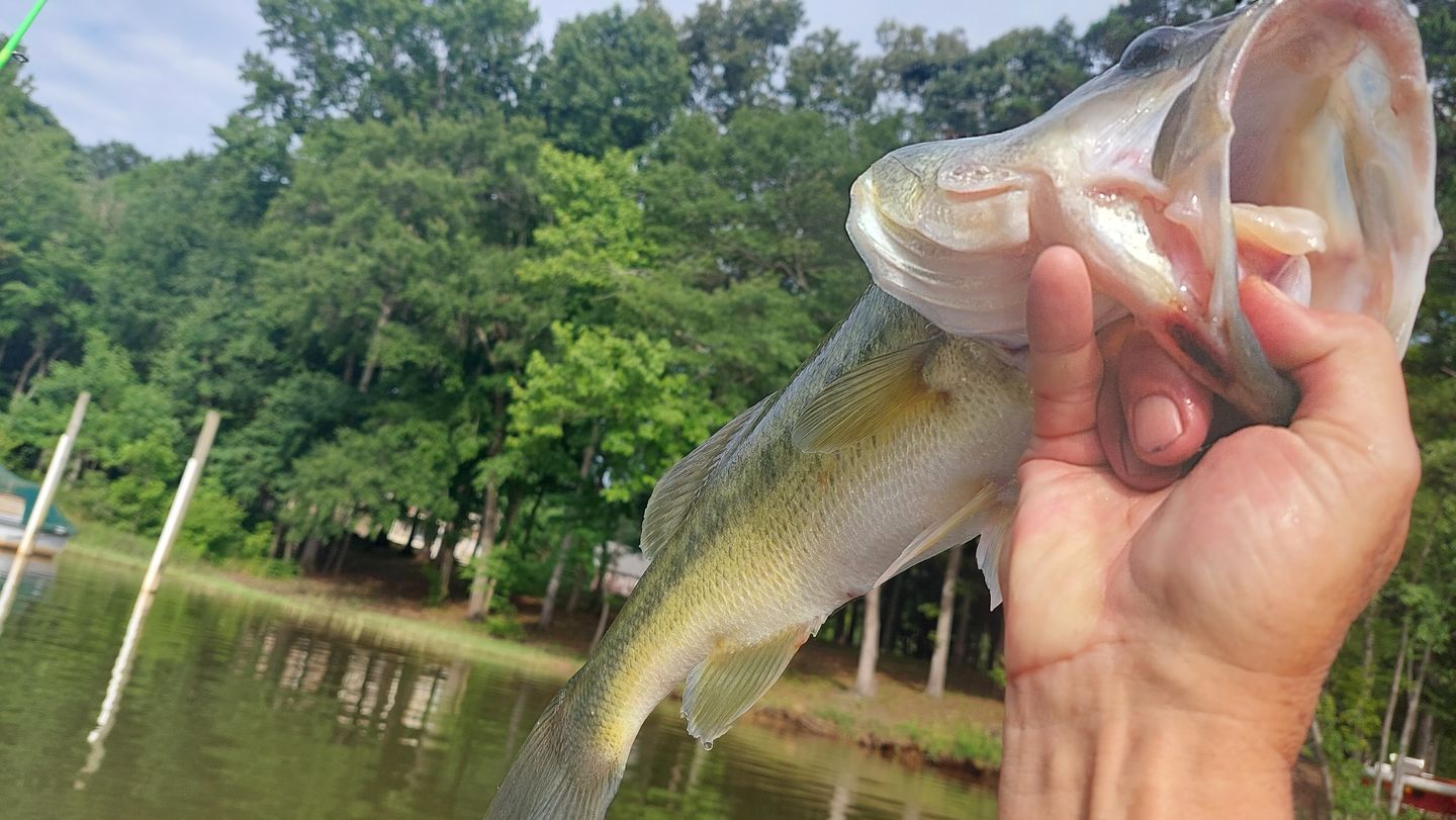 Customer photo review of 97% Purity Tungsten Barrel Weights | Carolina Weights | Bulk Pack