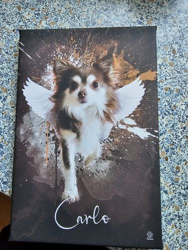 Customer photo review of Graffiti Pawtrait