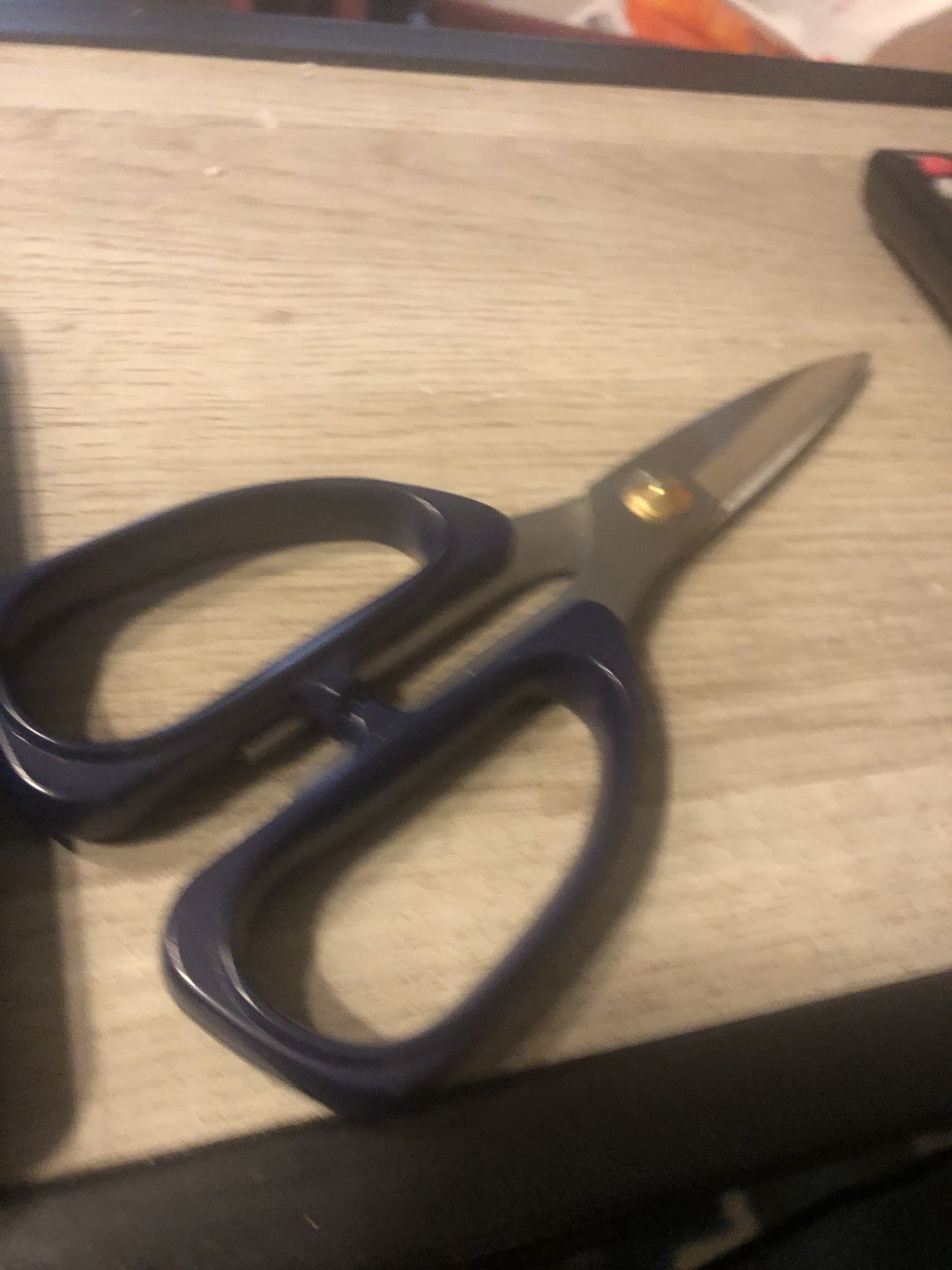 Customer photo review of 7.25"L Scissors Blue Handle MT1043