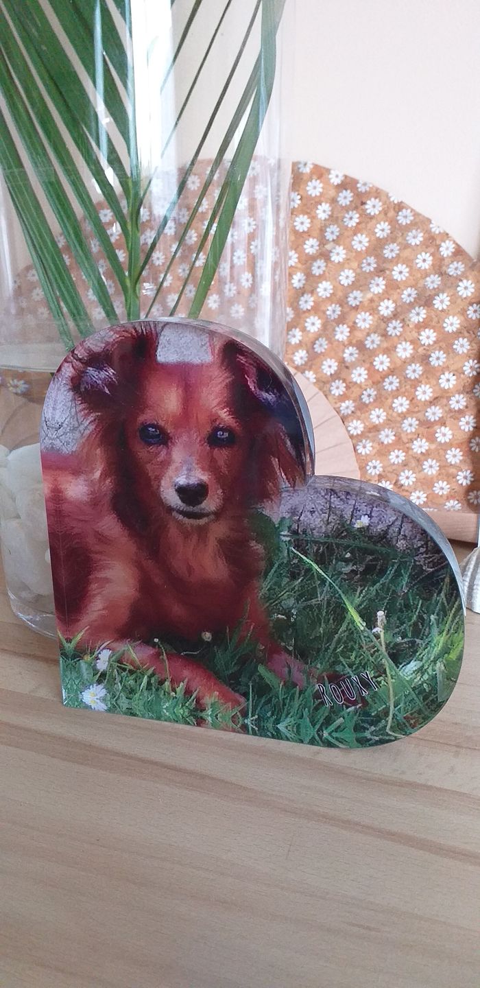 Customer photo review of Avec photo - Cœur en verre personnalisé