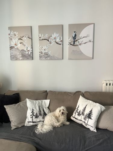 Customer photo review of ASSICURAZIONE PACCO