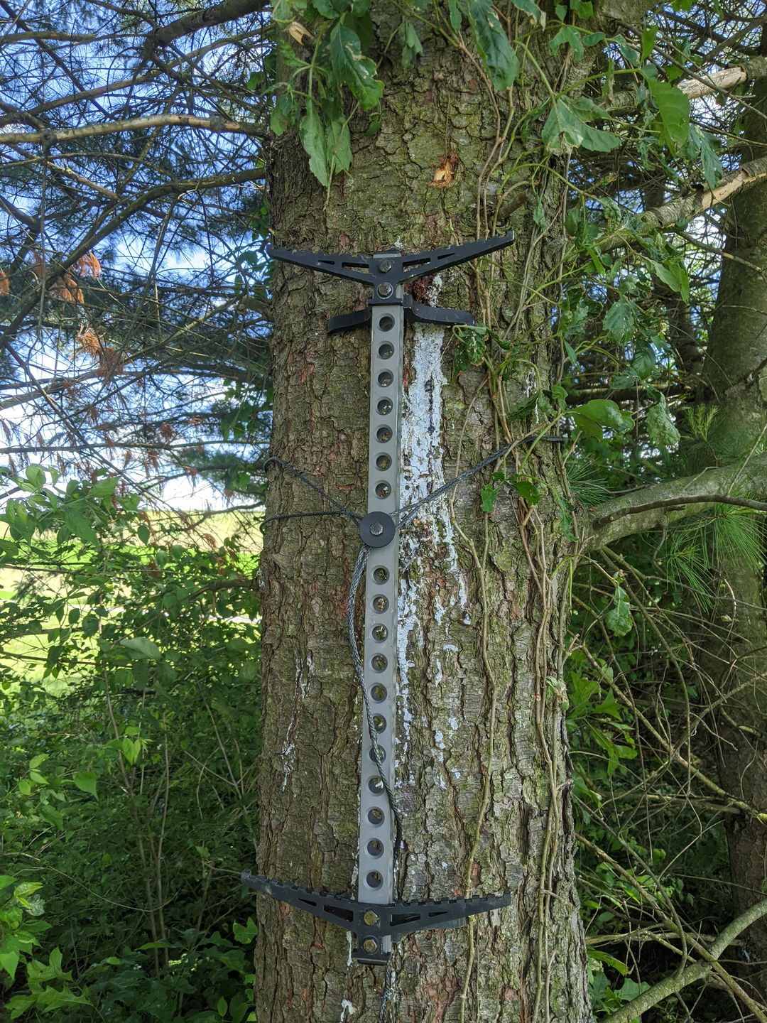 Customer photo review of 20" BEAST GEAR CLIMBING STICK MINI