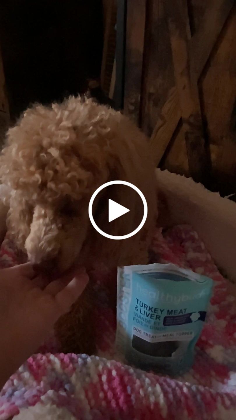 Customer video review of Turkey Gut Booster