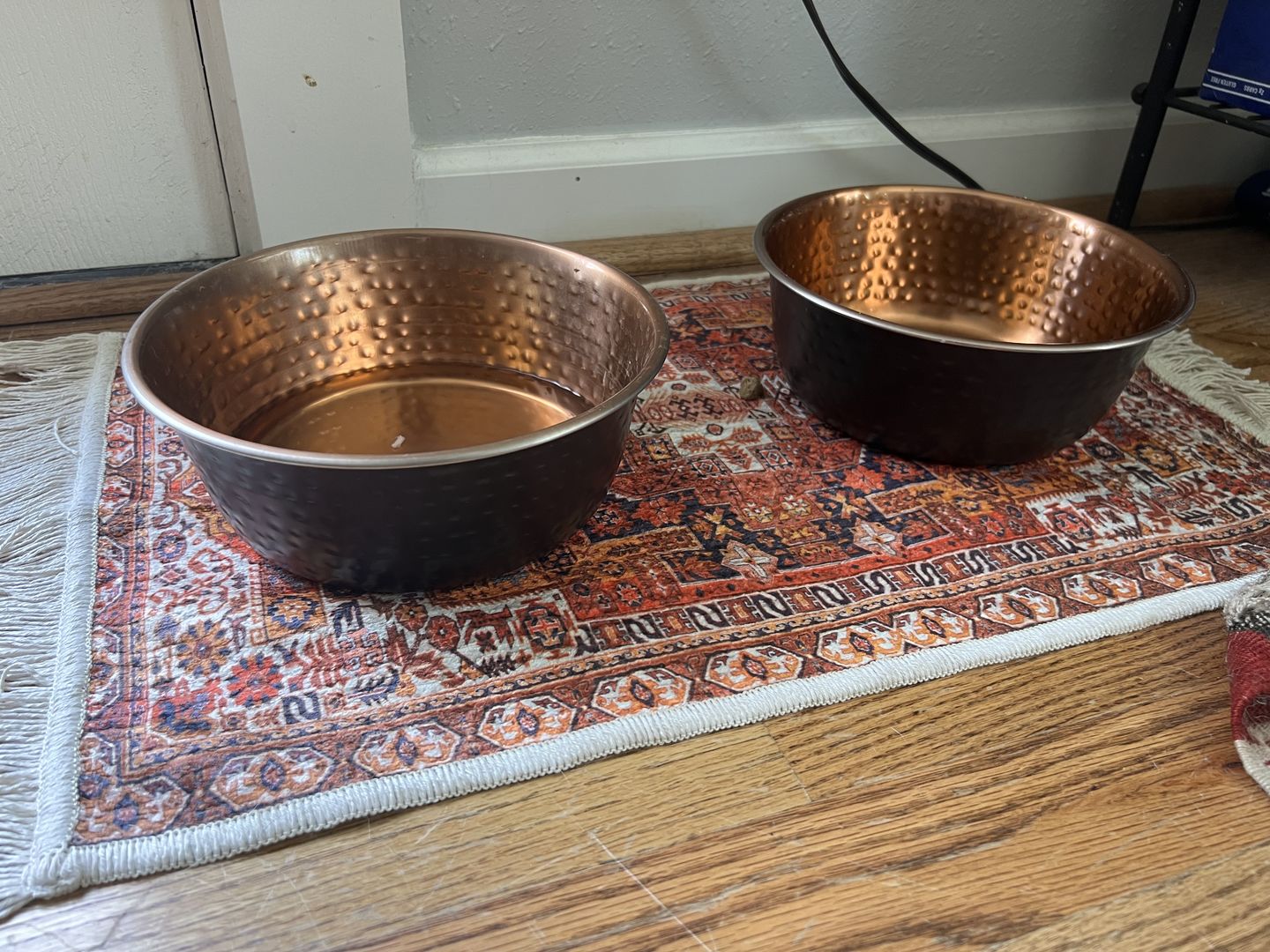 Customer photo review of Pet Placemat - Ophelia