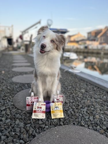 Customer photo review of Freezball Bundle