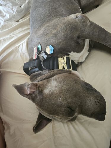 Customer photo review of Beach Silicone