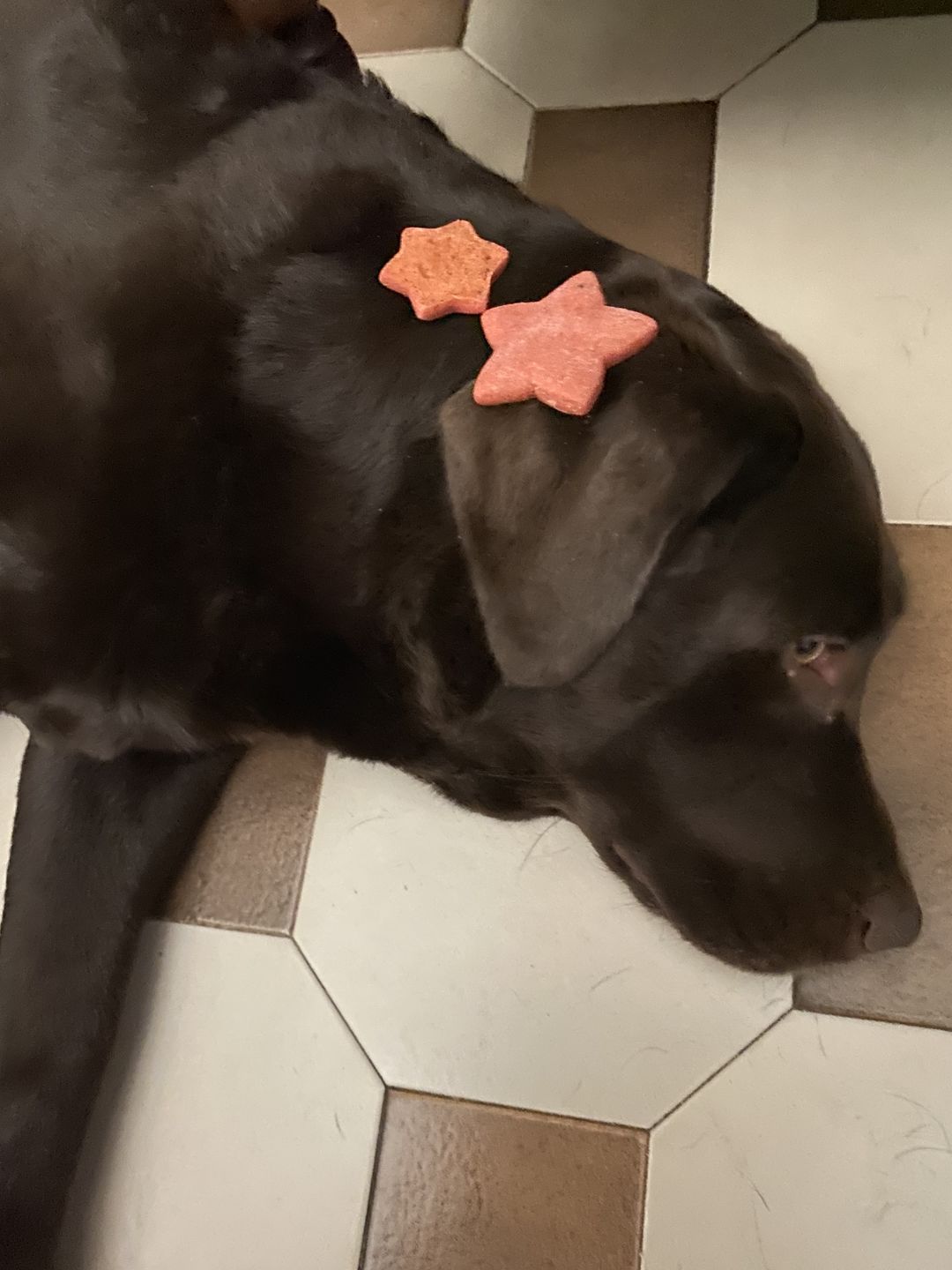 Customer photo review of Can Di Stelle