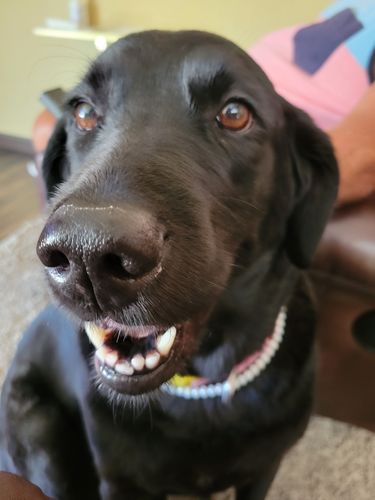 Customer photo review of ByteTag Slide