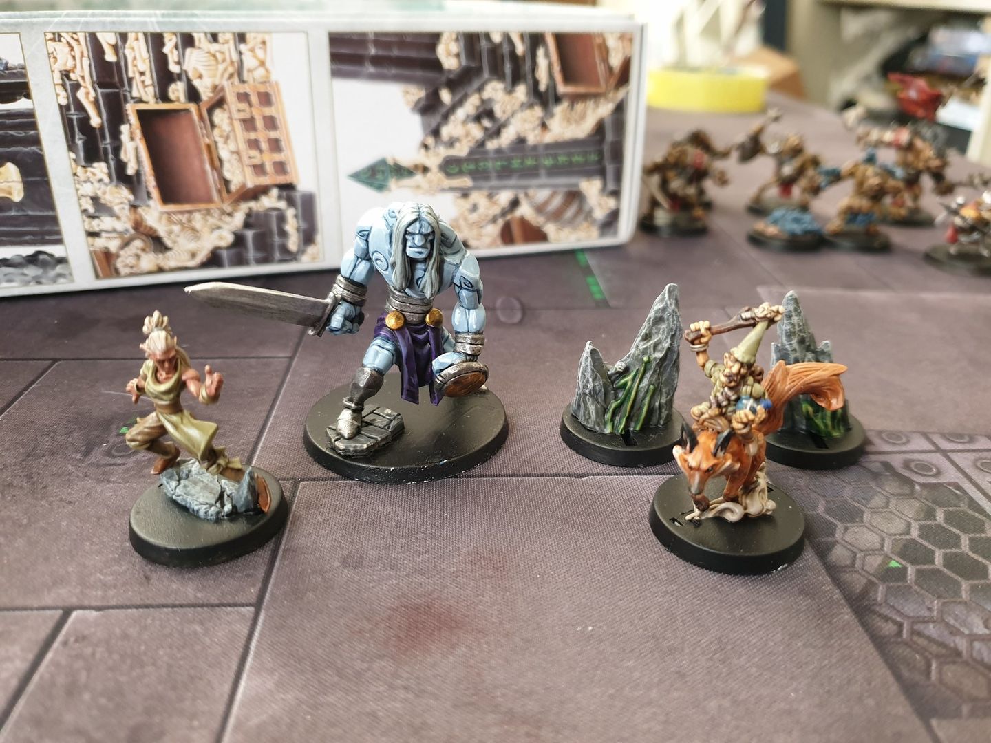 Customer photo review of Wilderkin Faction Set