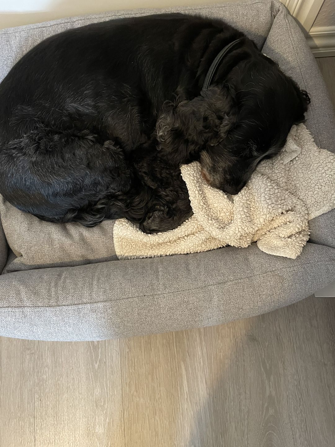 Customer photo review of Hundeseng 'HYGGE' (grå)