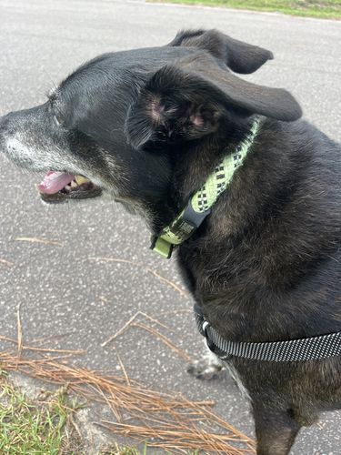 Customer photo review of ByteTag Slide