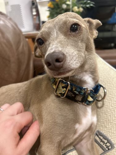 Customer photo review of ByteTag Slide