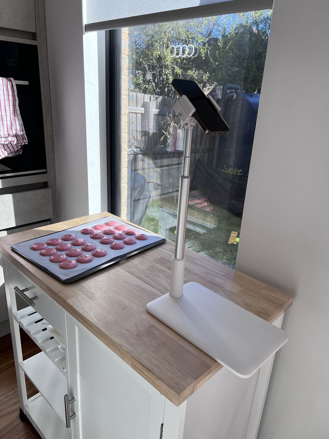 Customer photo review of FlexiStand