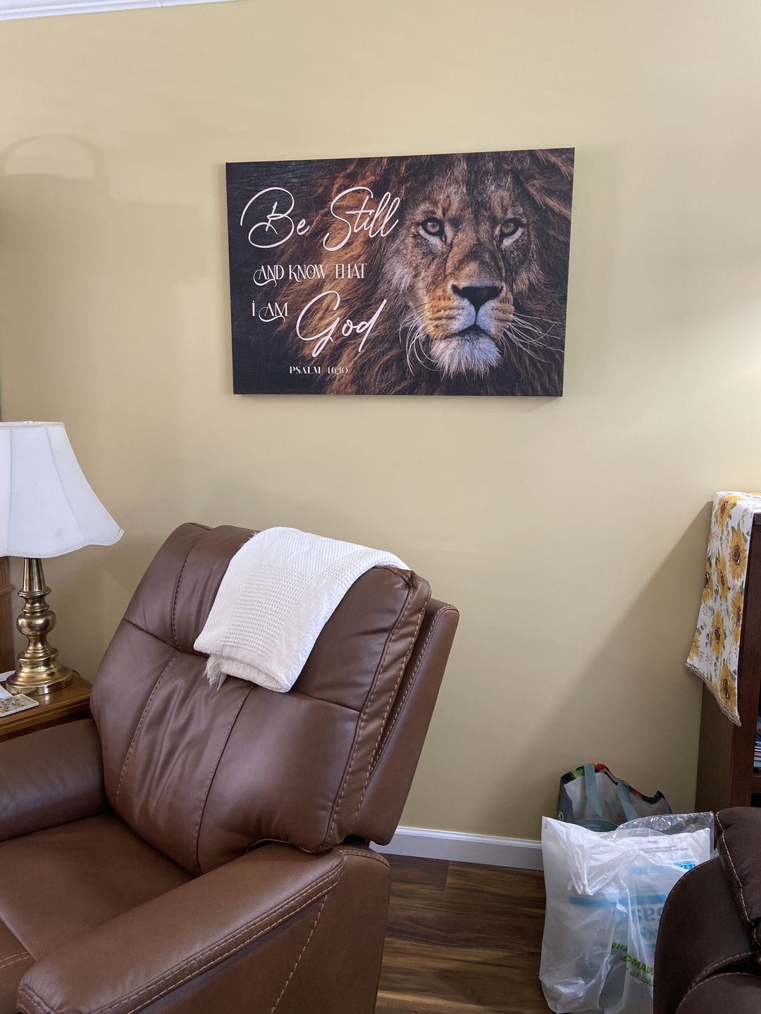 Customer photo review of Lion of Judah, Be still and know that I am God wall art canvas