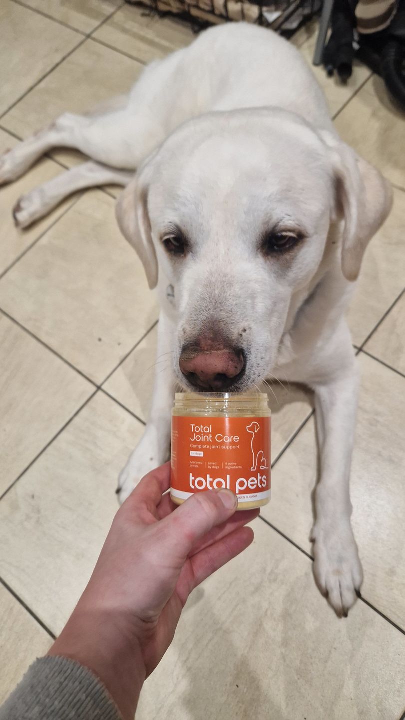 Customer photo review of Total Joint Care Supplement For Dogs