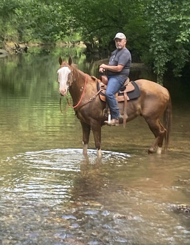 Customer photo review of Osteo-MAX & Gut X » up to 53% Savings