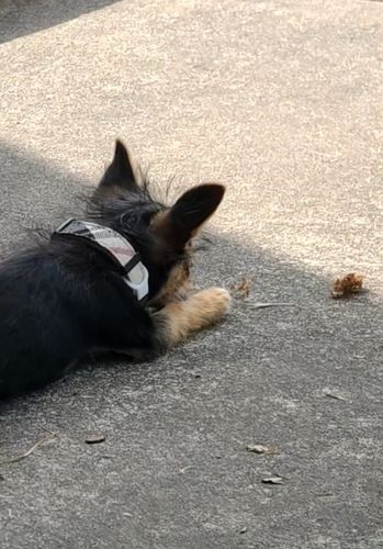 Customer photo review of ByteTag Slide