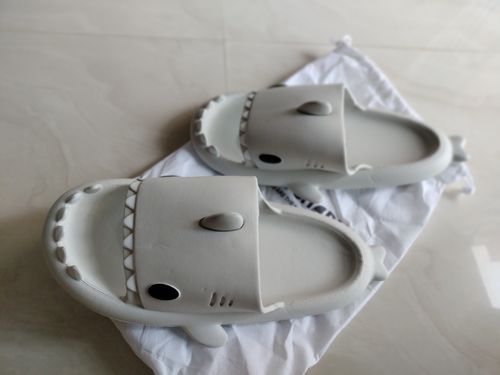 Customer photo review of The Original Shark Slides